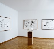 Nina Annabelle Märkl | Exhibition view Casting shadows | Galerie Max Weber Six Friedrich | München| 2011