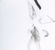 Nina Annabelle Märkl | Balancing the Whimsical 1 | Ink on paper | 65 x 40 cm | Detail