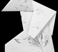 Nina Annabelle Märkl | Fragmented fiction 23 | Ink on folded paper, cut-outs | 60 x 38 cm | 2016