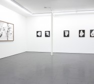 Nina Annabelle Märkl | Exhibition view | Lachenmann Art| Konstanz | 2016