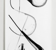 Nina Annabelle Märkl | Displays 5 | Ink on paper | 270 x 135 cm | 2017/2018