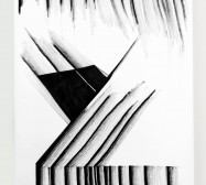 Nina Annabelle Märkl | Displays 3 | Ink on paper | 270 x 135 cm | 2017/2018