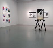 the space between | Installationsansicht | Jenny Forster und Nina Annabelle Märkl | BBK Würzburg | 2018