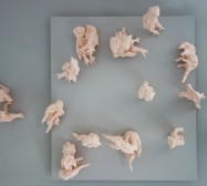 Mutares | Wesen aus Paperclay | je ca. 20 x 8 x 8 cm | Installation | Weltraum | 2020