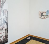 Installationsansicht | Von Symbionten und Monaden | Wand links: Rolf Maria Krückels, Wand rechts: Stefanie Gerstmayr