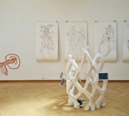 Installationsansicht | Von Symbionten und Monaden | Wand links und vorne: Arbeit von Stefanie Gerstmayr