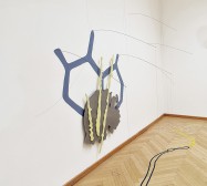 Installationsansicht | Von Symbionten und Monaden | gemeinsame Arbeit mit Stefanie Gerstmayr (Wandmalerei, Objekt, Bodenzeichnung), Federstahl und Magnete