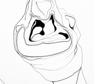 Prozession, Figur 8, Tortoise, Detail | 210 x 180 cm | Tusche auf Leinwand | 2025