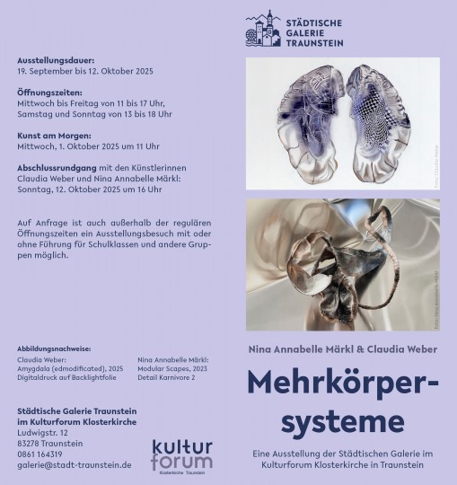 20250828_sts_ausstellung_mehrkoerpersysteme_einladung