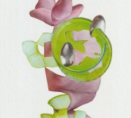 Gefüge 072668 | Collage | 23,5 x 17 cm | 2026